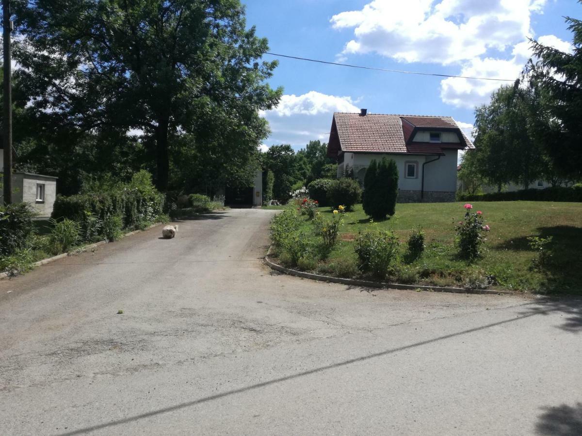 Apartman Jasmin Apartment Čatrnja Exterior foto